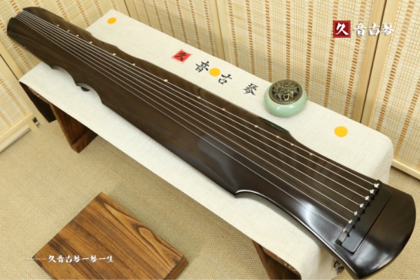 海西蒙古族藏族自治州初级演奏古琴【伏羲式】
