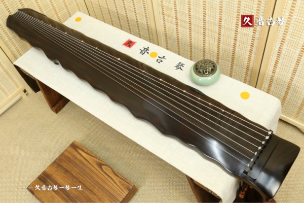 海西蒙古族藏族自治州初级演奏古琴【落霞式】